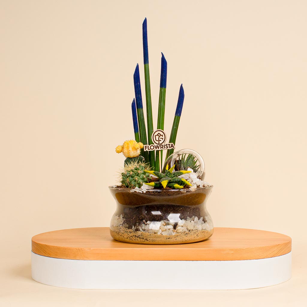 Flowrista Online Flowers Shop Desert Bloom Vase