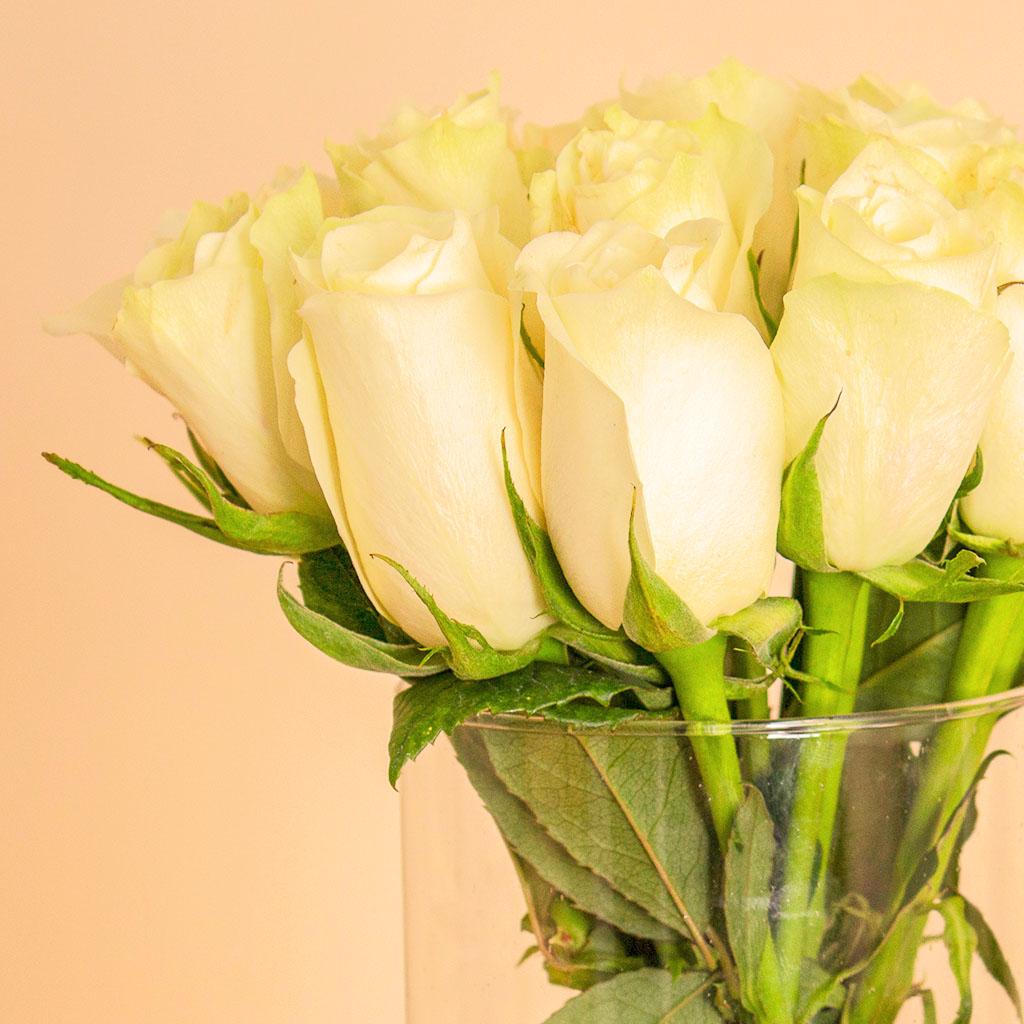 product-image-Versace Crystal Noir with White Roses Vase 15 Roses