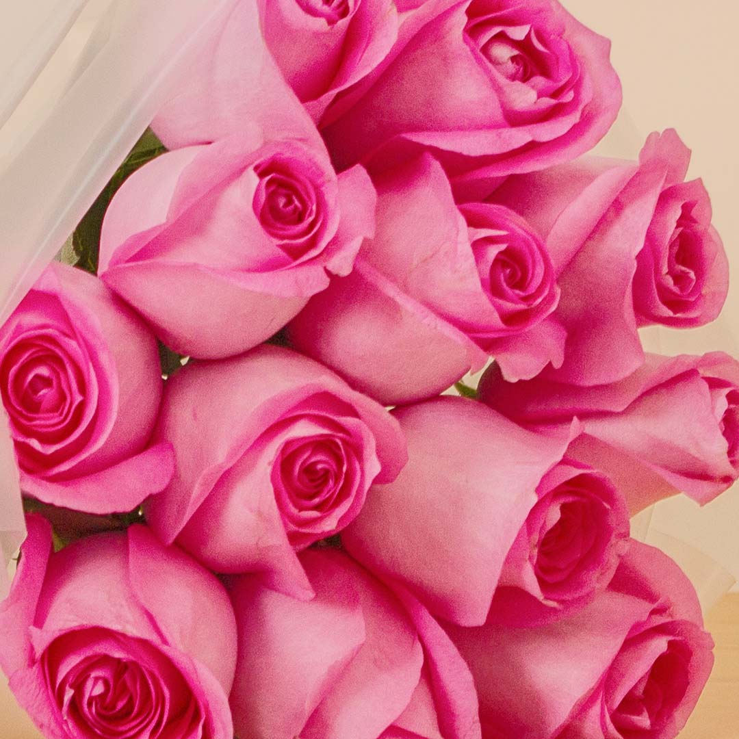 product-image-Elegant Pink Rose Bouquet