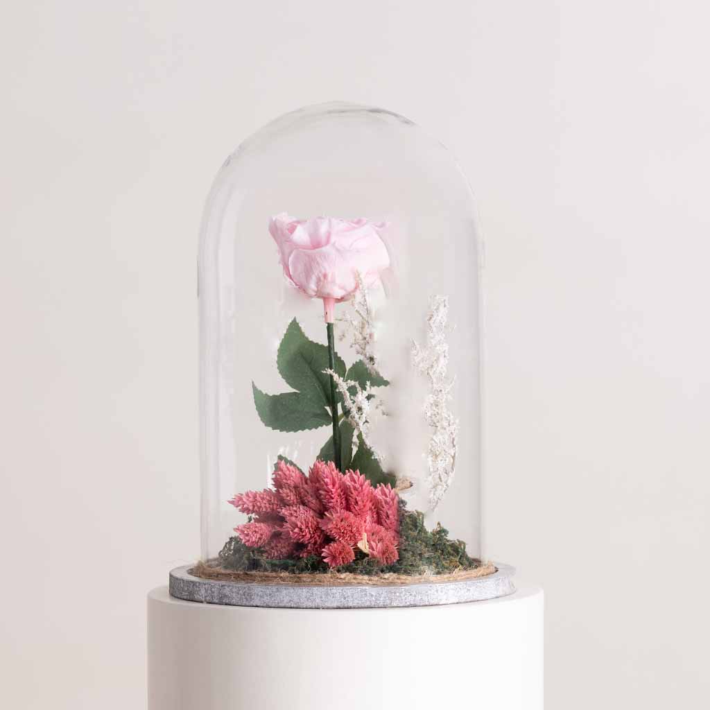 Flowrista Online Flowers Shop وردة الخلود وردية