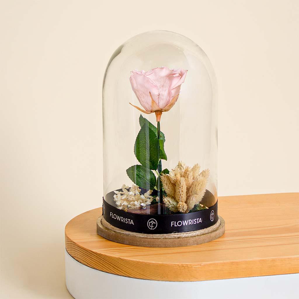 Flowrista Online Flowers Shop Pink eternity rose