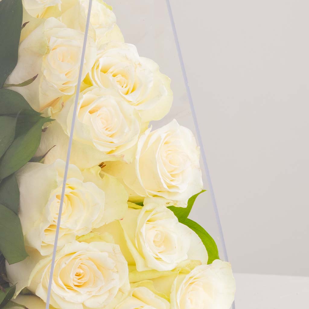 product-image-White Bag