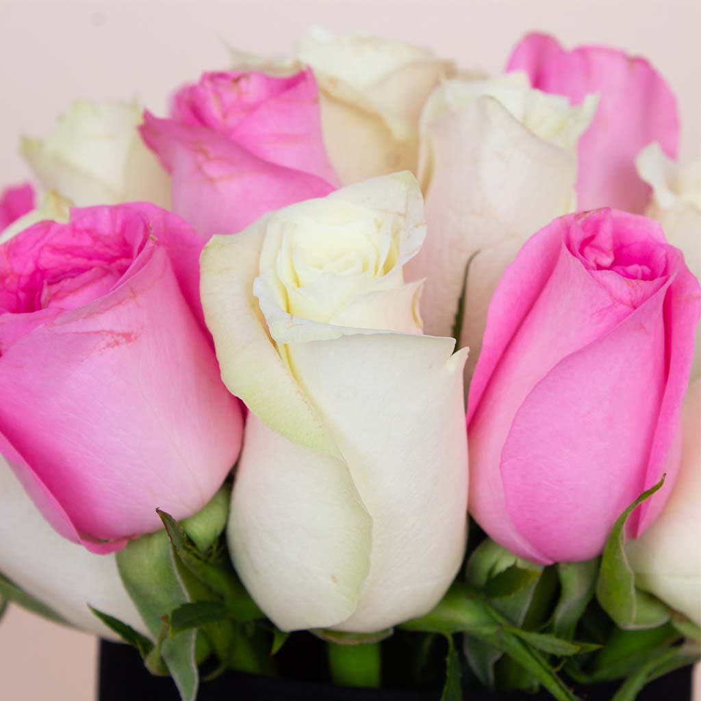product-image-Harmony Vase - 20 Pink & White Roses