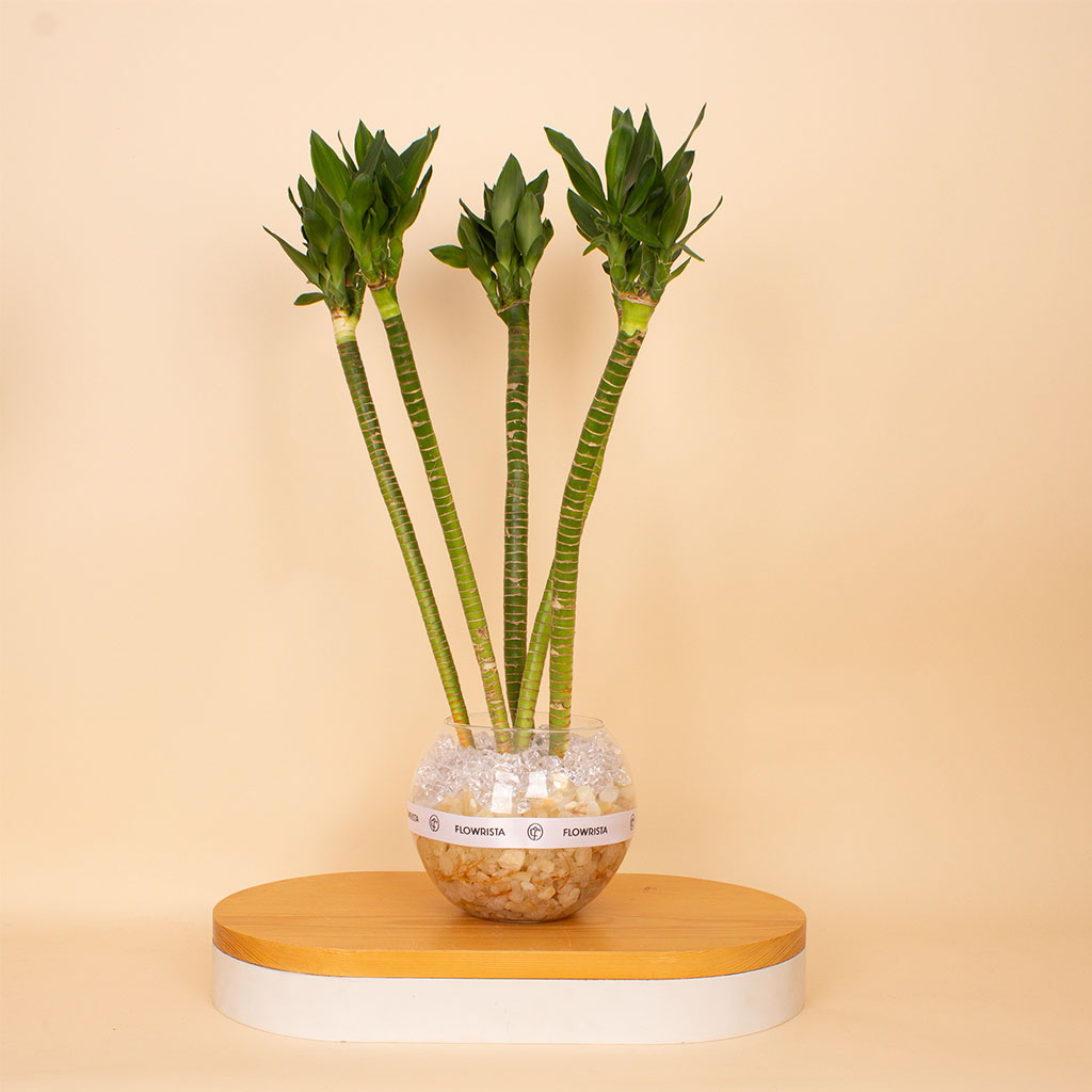 product-image-Lotus Bamboo Vase