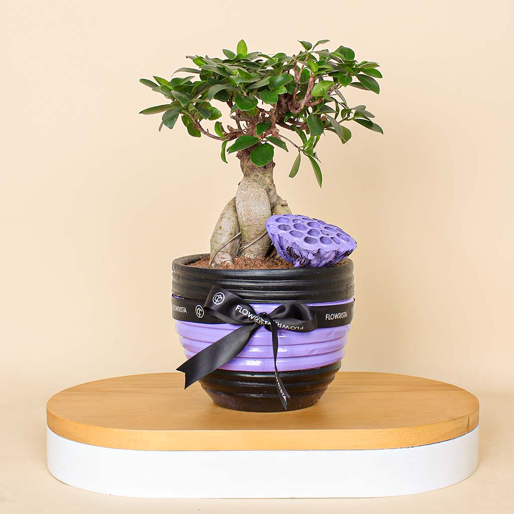 Flowrista Online Flowers Shop Luxury Pot Vase