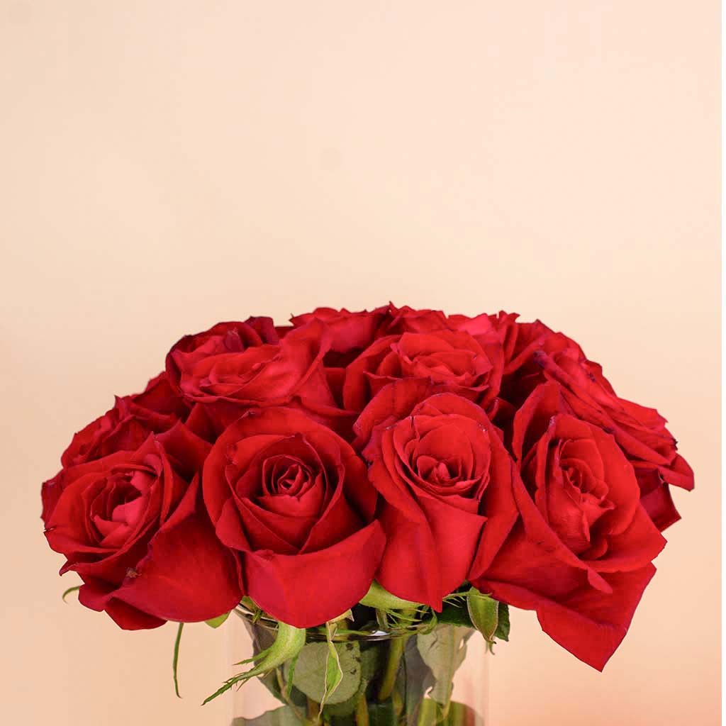 product-image-Joviality Pink Glow Set & Red Roses Vase