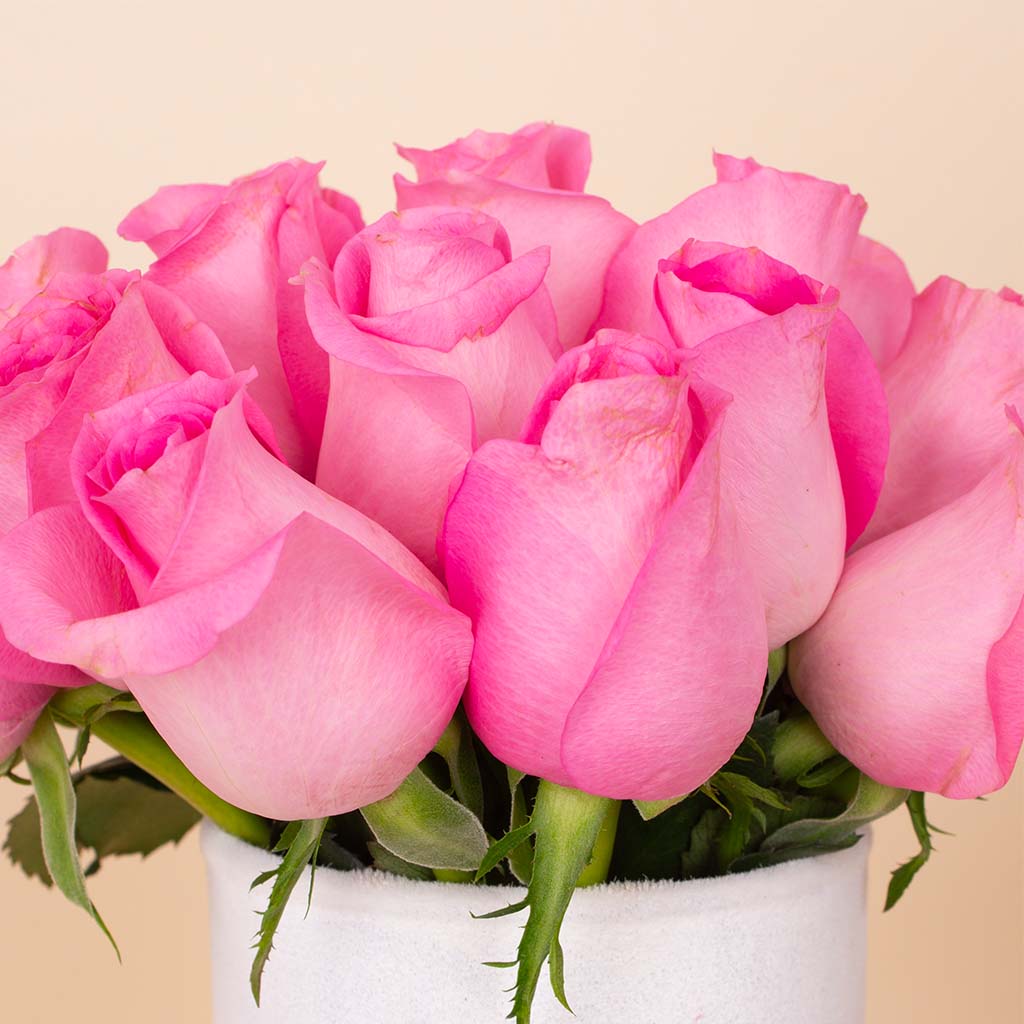 product-image-Fuchsia Signature Vase - 20 Stems