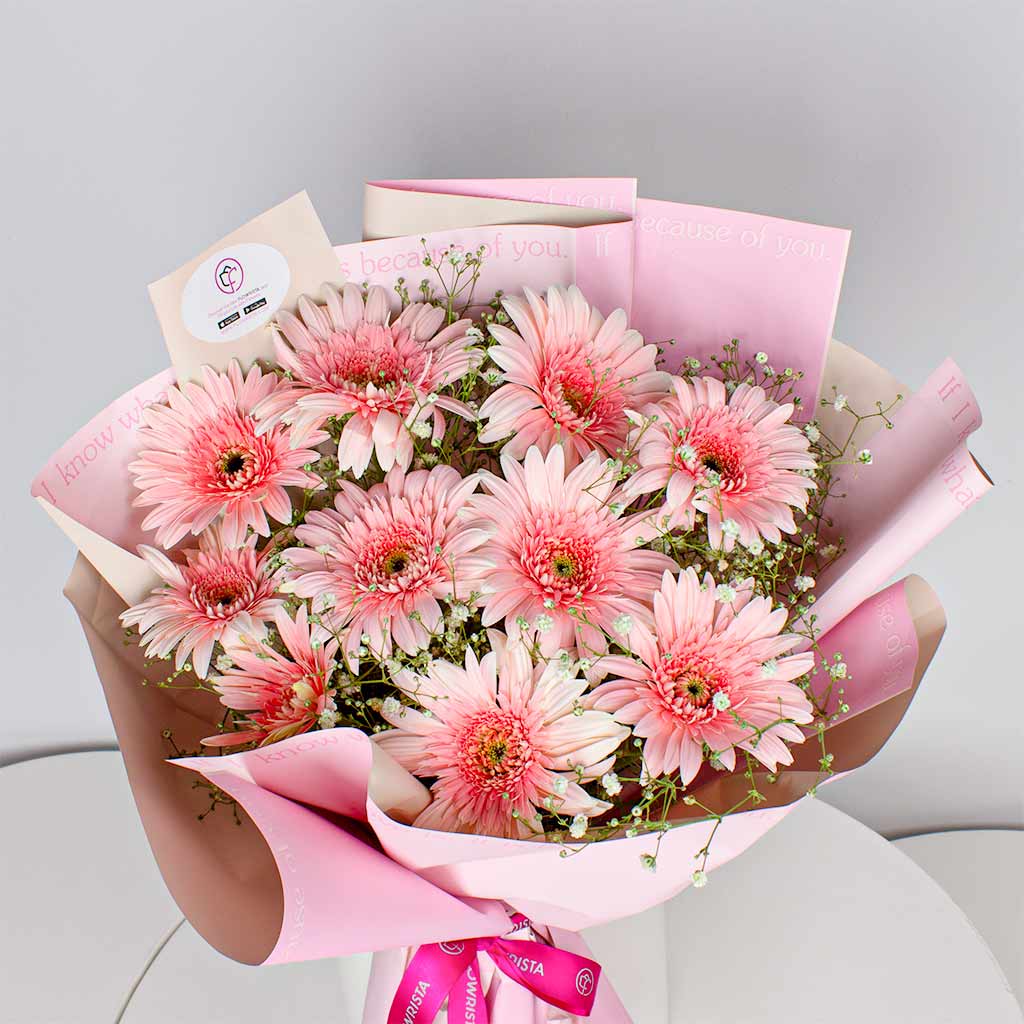 product-image-Levai & Loris Sorry I’m Not Listening Cap & 10 Gerberas Bouquet