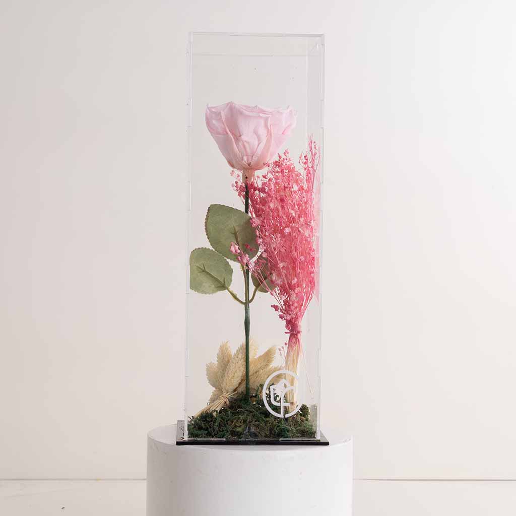 Flowrista Online Flowers Shop وردة الأبدية البينك المميزة