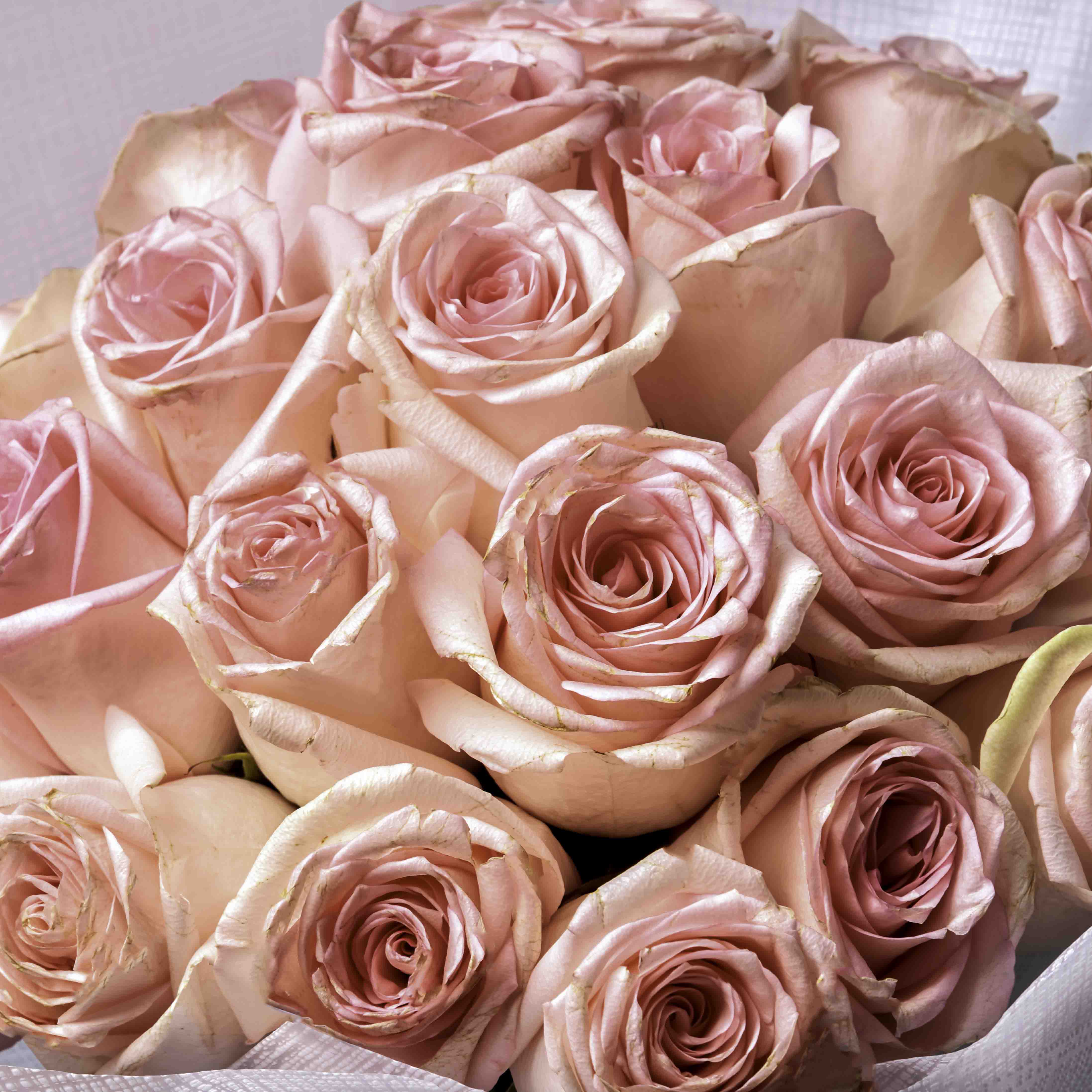 product-image-باقة ورد ساحرة