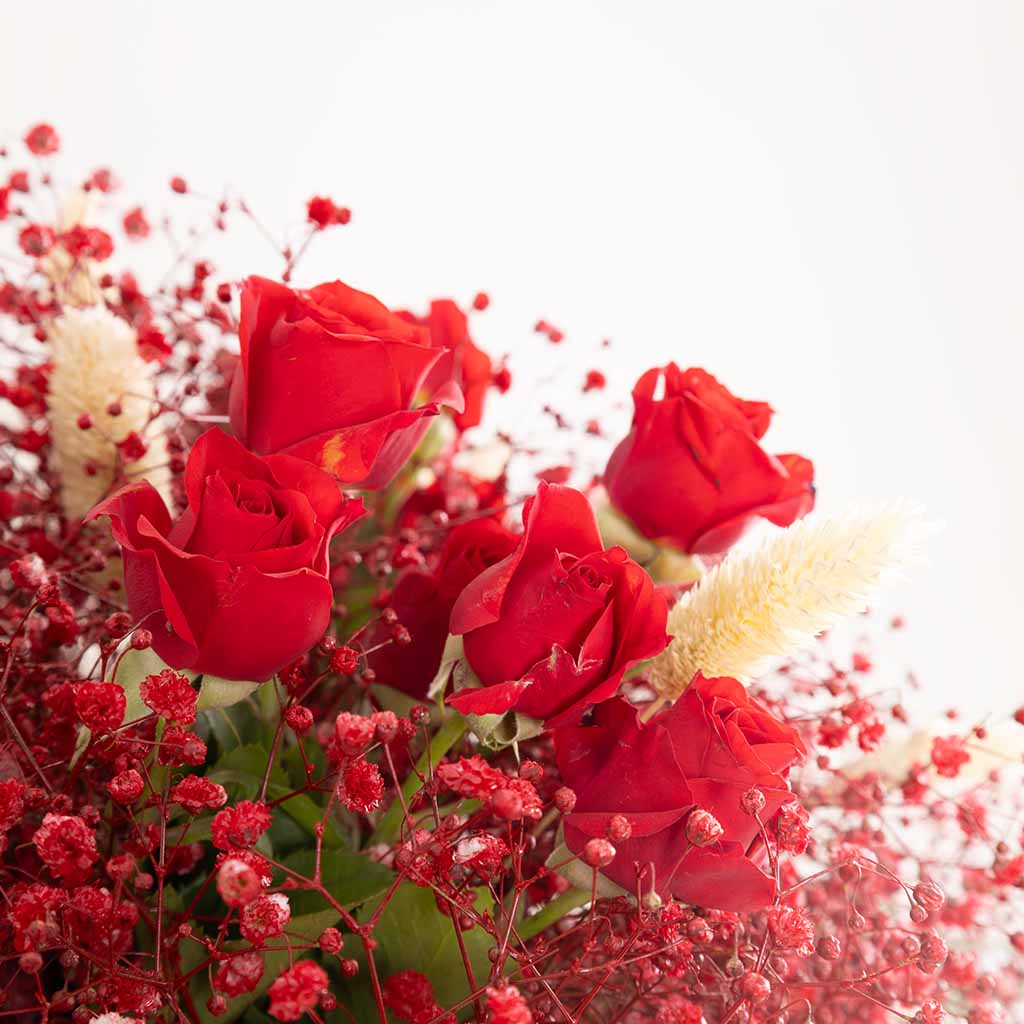 product-image-مزهرية سكارليت إير