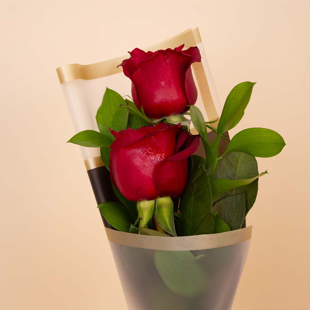 product-image-Duo Red Roses Bouquet