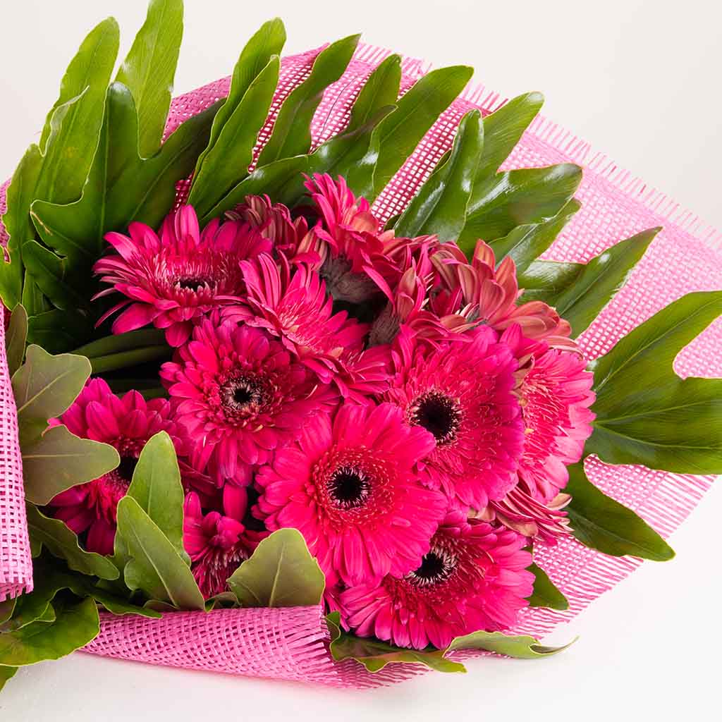 product-image-Fuchsia Gerbera Bouquet