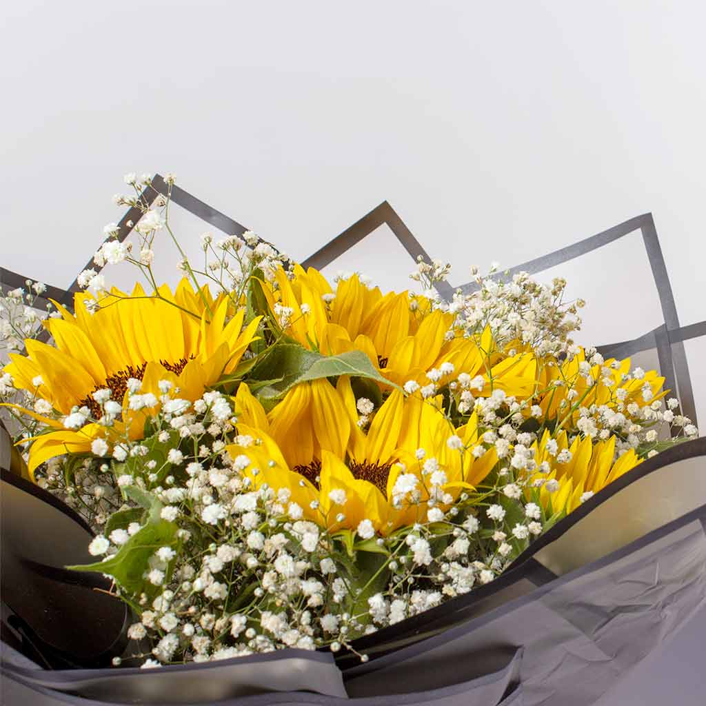 product-image-Sun Rotana