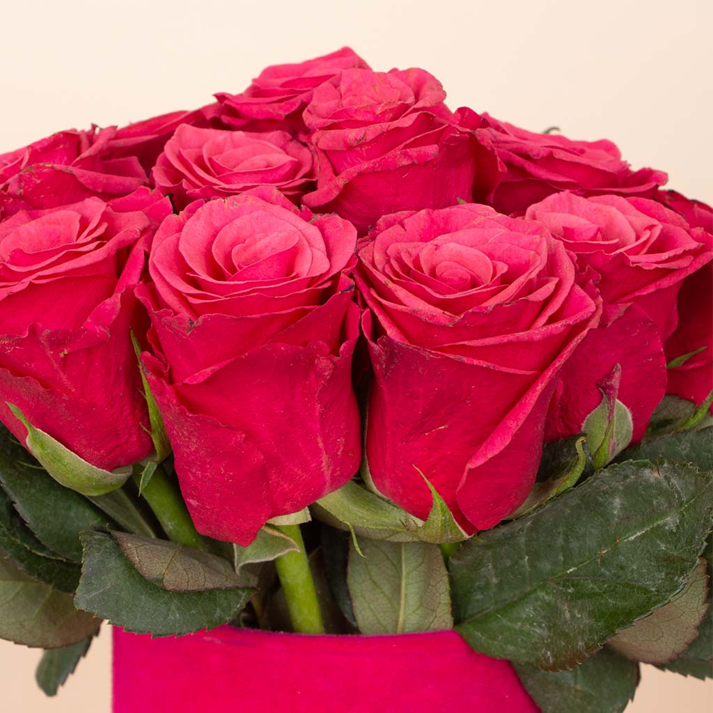product-image-Fuchsia Whisper Vase - 20 Stems
