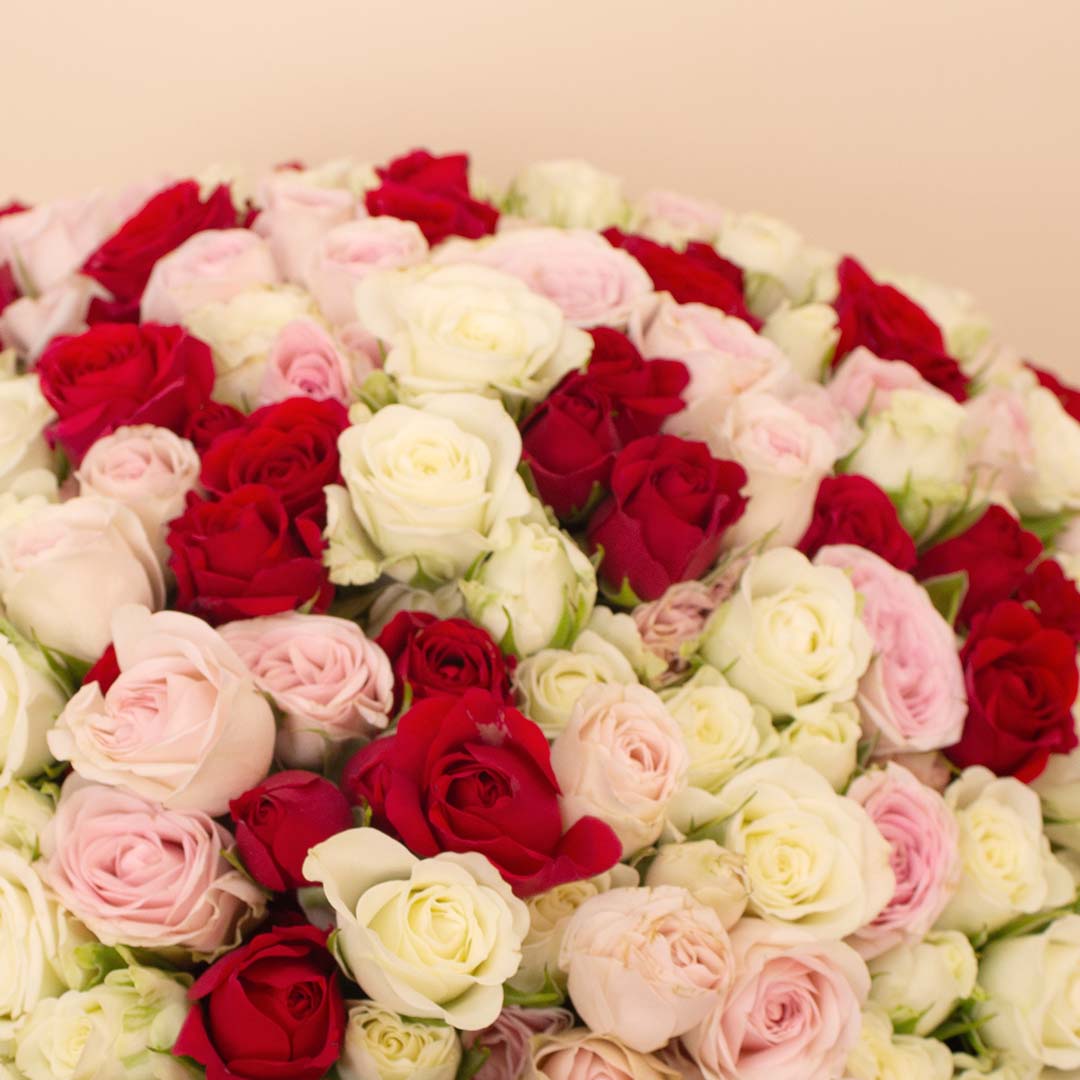 product-image-Flowrista | Bouquet of 100 White, Pink & Red Roses