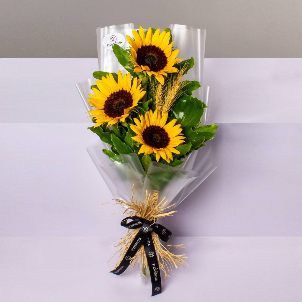 product-image-قبلة الشمس