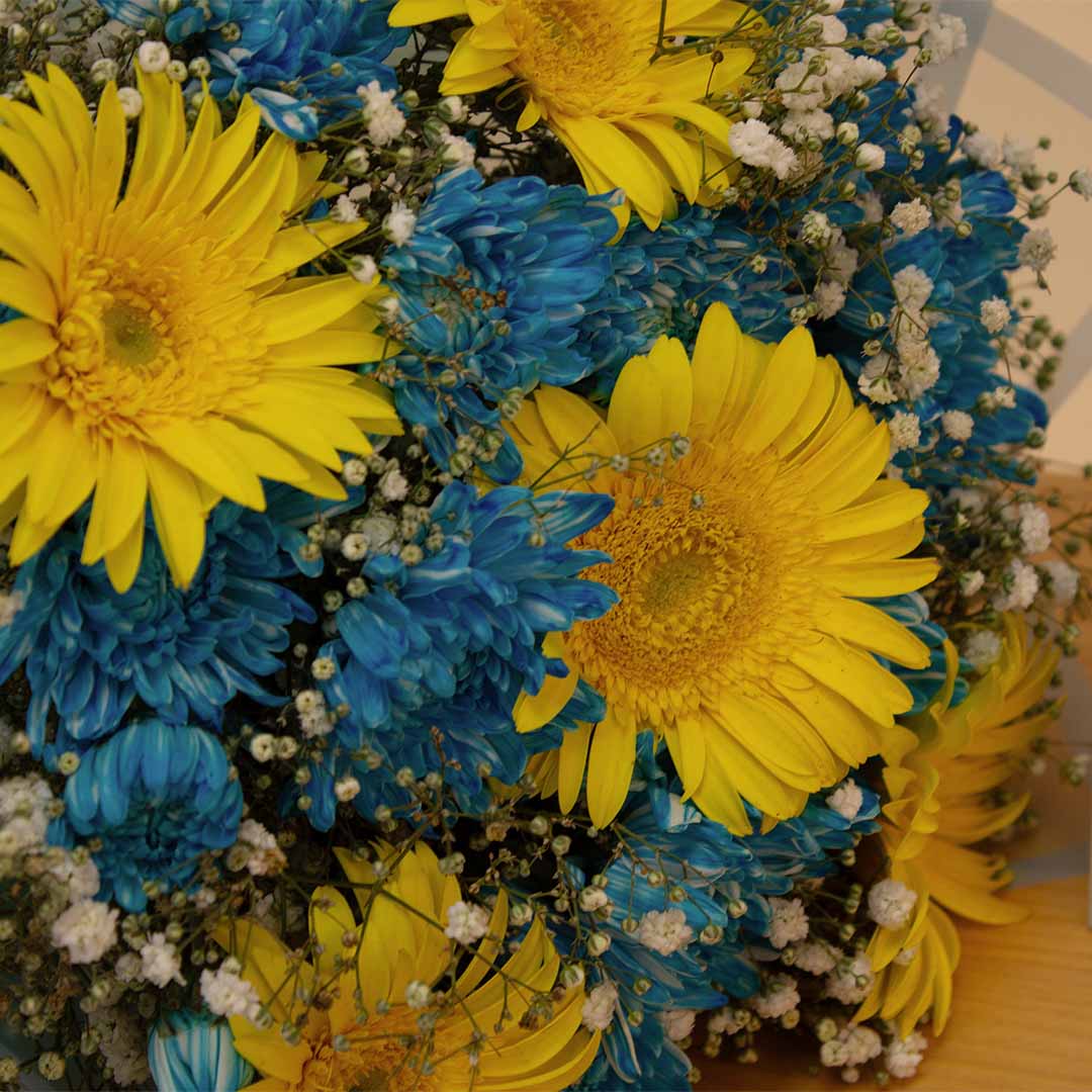 product-image-Flowrista | Blue Chrysanthemum & Yellow Gerbera Bouquet