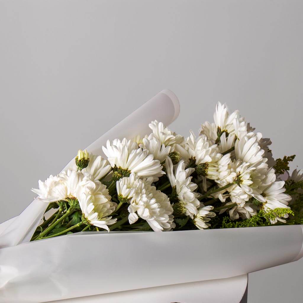 product-image-Markiz Rhodium Opal Necklace & 10 White Chrysanthemum Bouquet