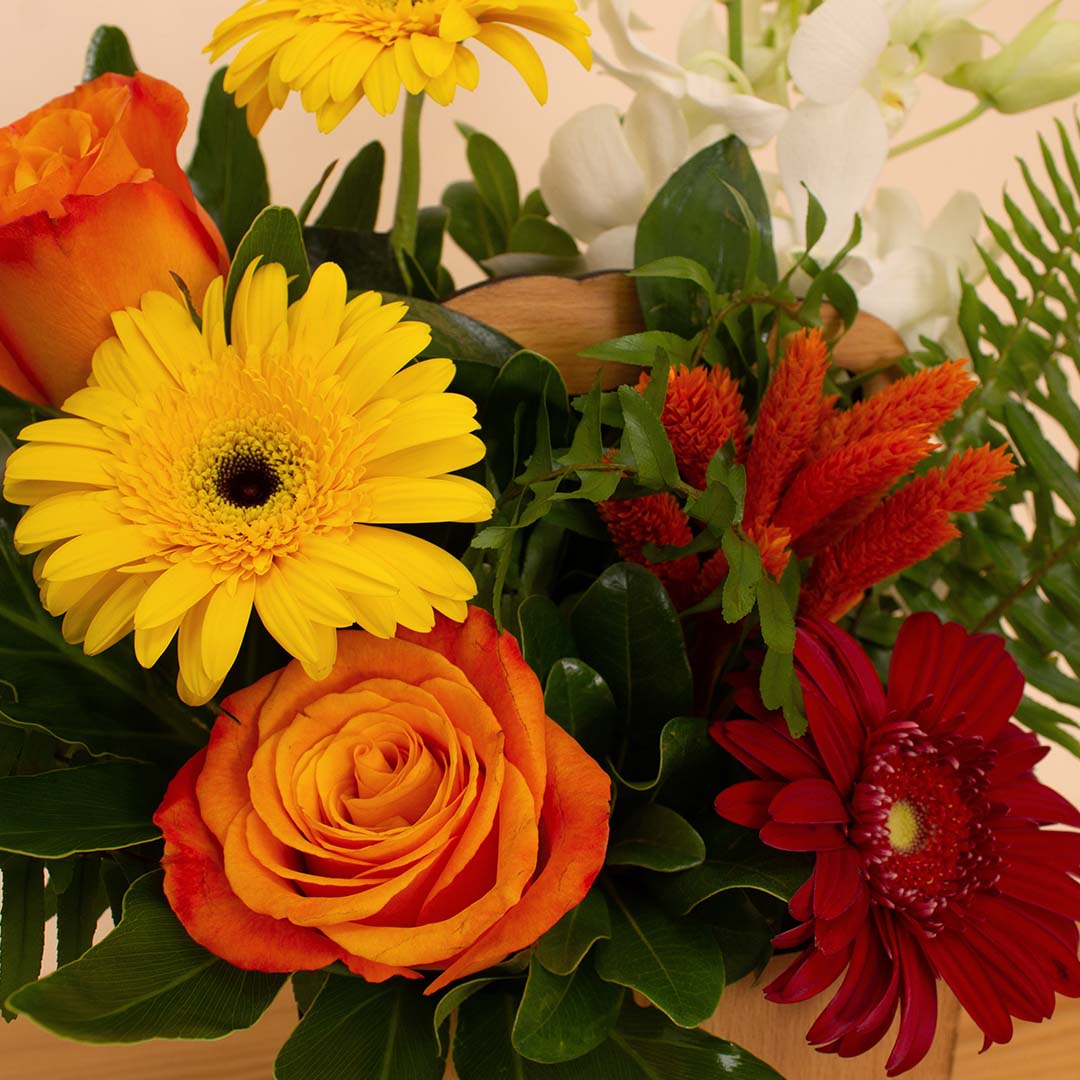 product-image-Flowrista | Vibrant Roses & Gerbera Flower Box