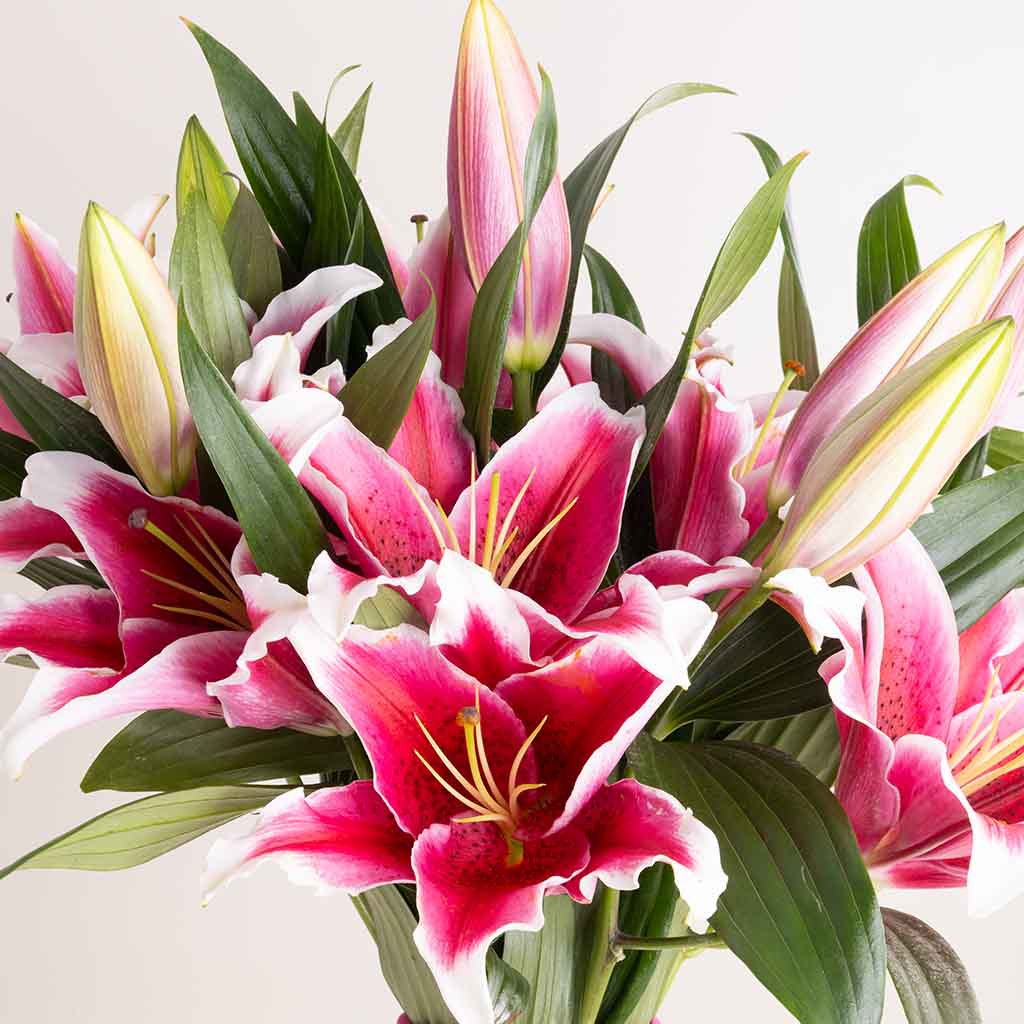 product-image-Velvet Lily Vase
