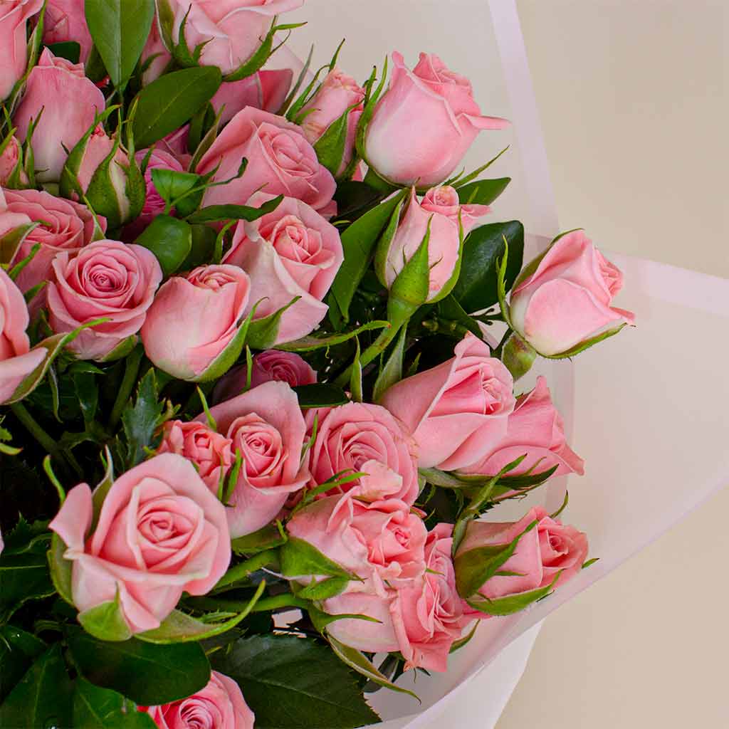 product-image-Pinky Bouquet and Felizmoda Tennis Silver Necklace With Zircon Stones