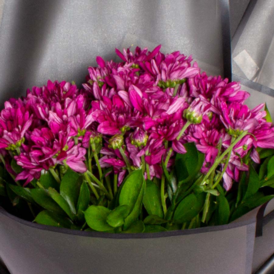 product-image-باقة أقحوان أرجوانية