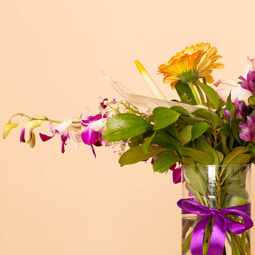 product-image-مزهرية أوركيد ريفيري