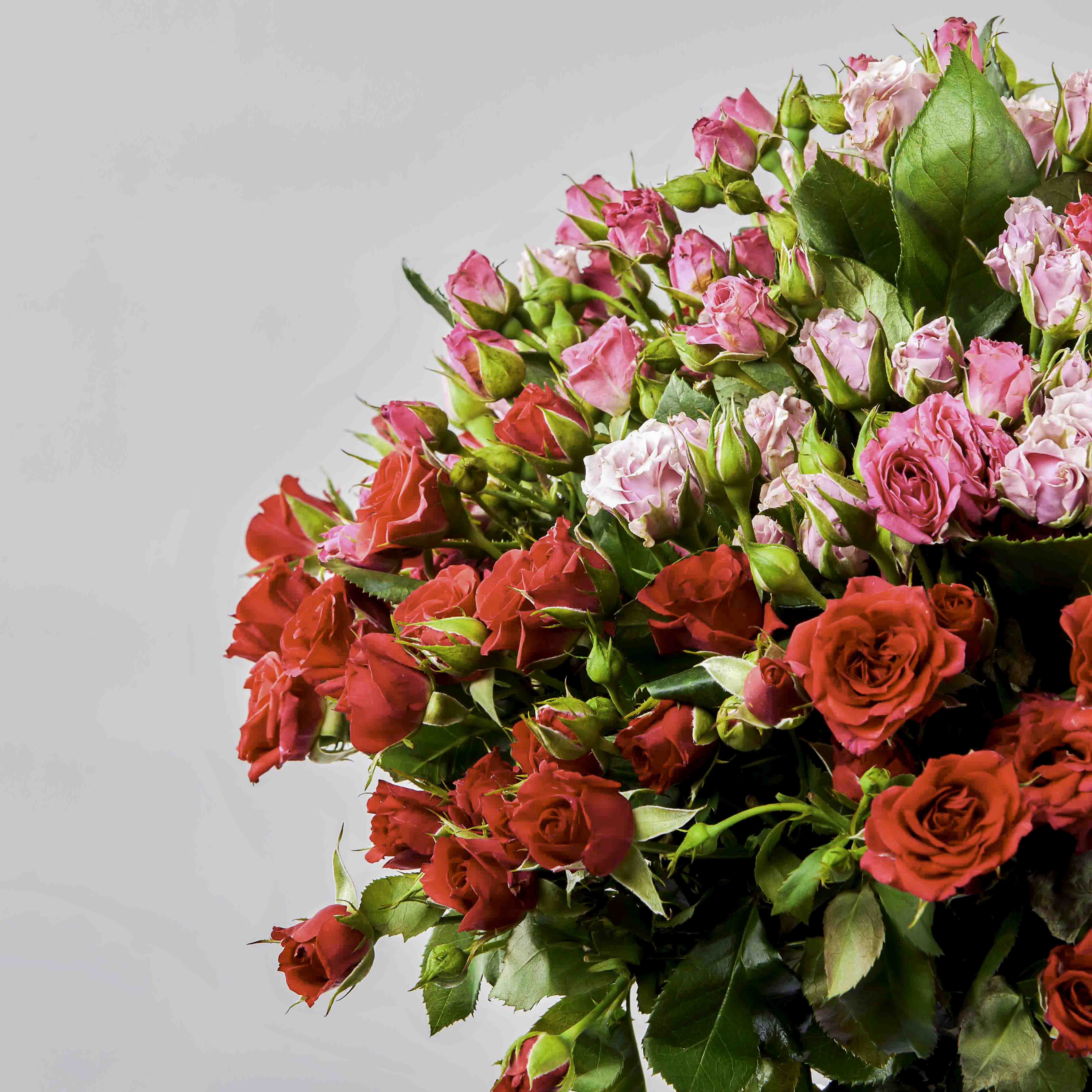 product-image-Flowrista | Pink & Red Baby Roses Bouquet