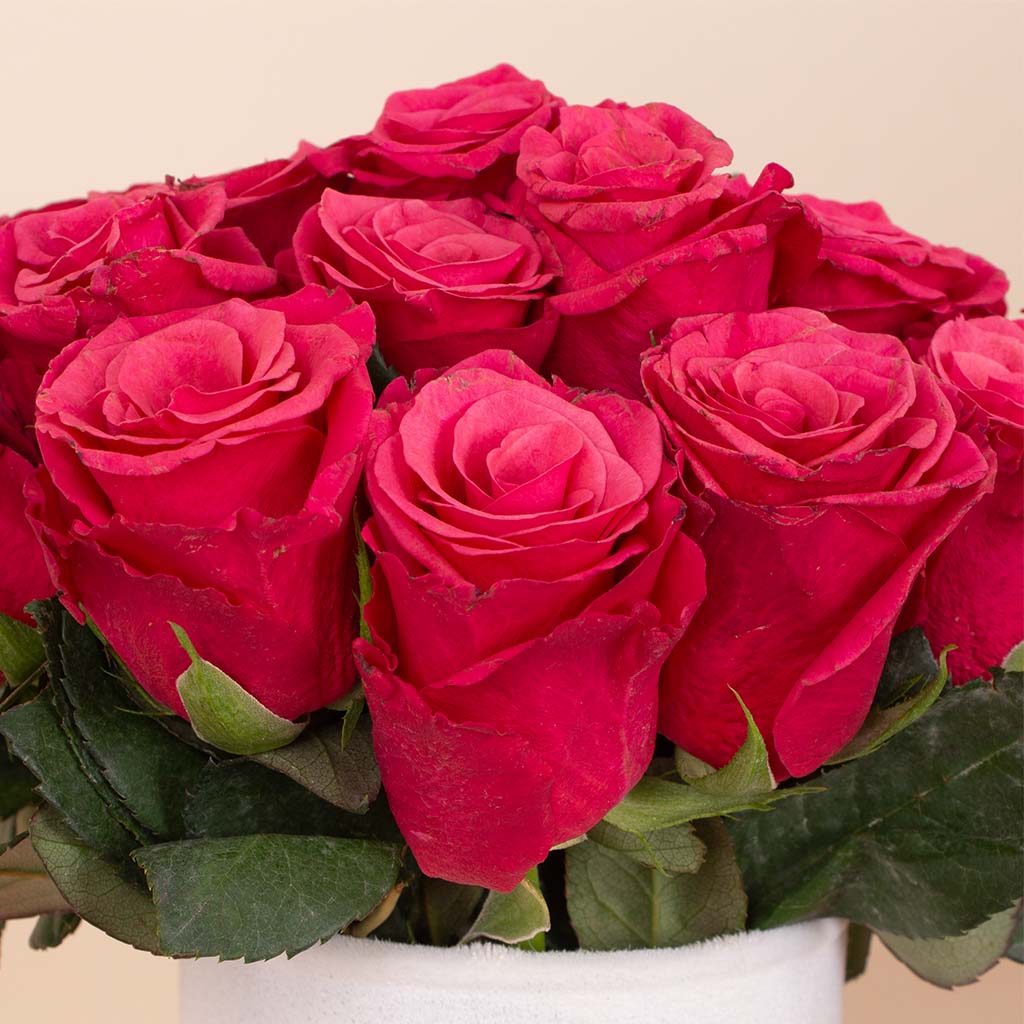 product-image-Deep Fuchsia Signature Vase - 20 Stems