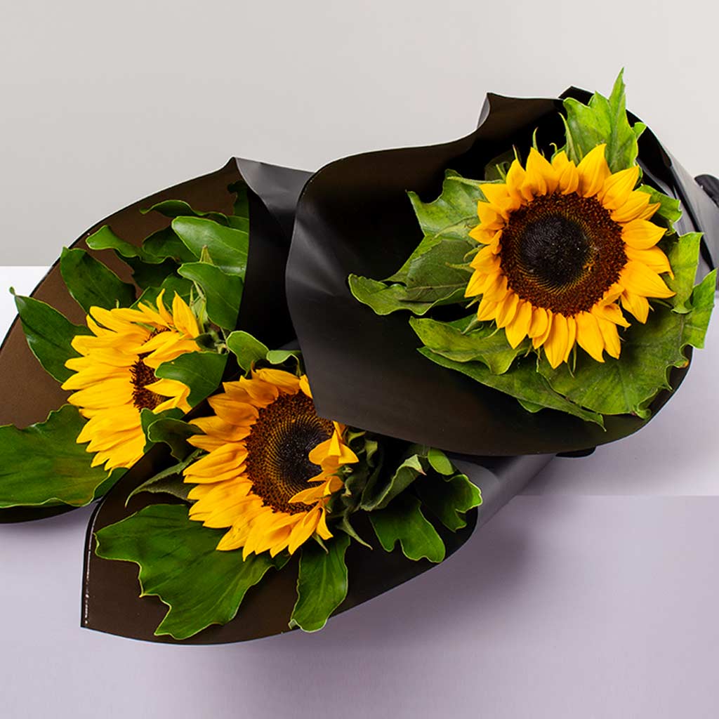 product-image-فلوريستا | باقة يد دوار الشمس