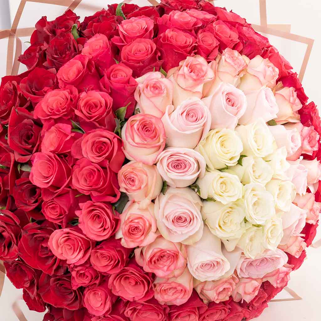 product-image-Gallery Grand Bouquet - 150 Roses