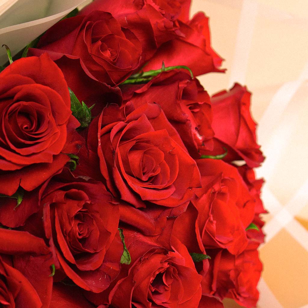 product-image-Forever Yours Bouquet | 20 Red Rose