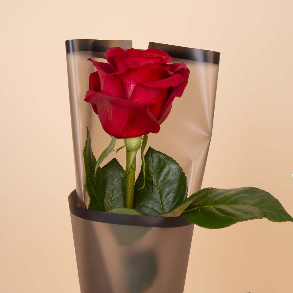 product-image-باقة وردة حمراء مفردة