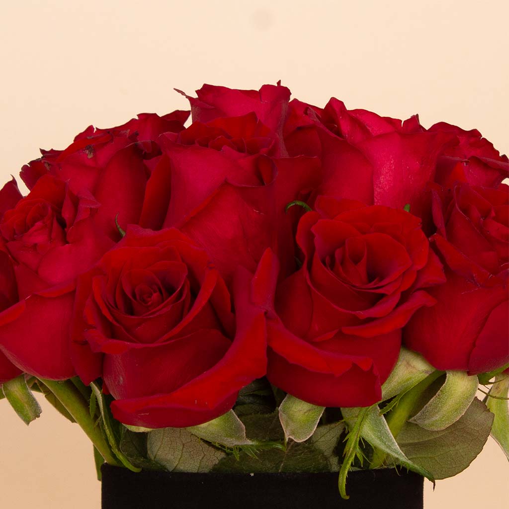 product-image-Crimson Vase - 20 Red Roses