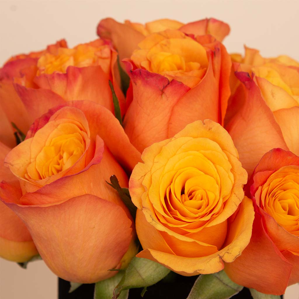 product-image-Sunset Ember Vase - 20 Orange Roses