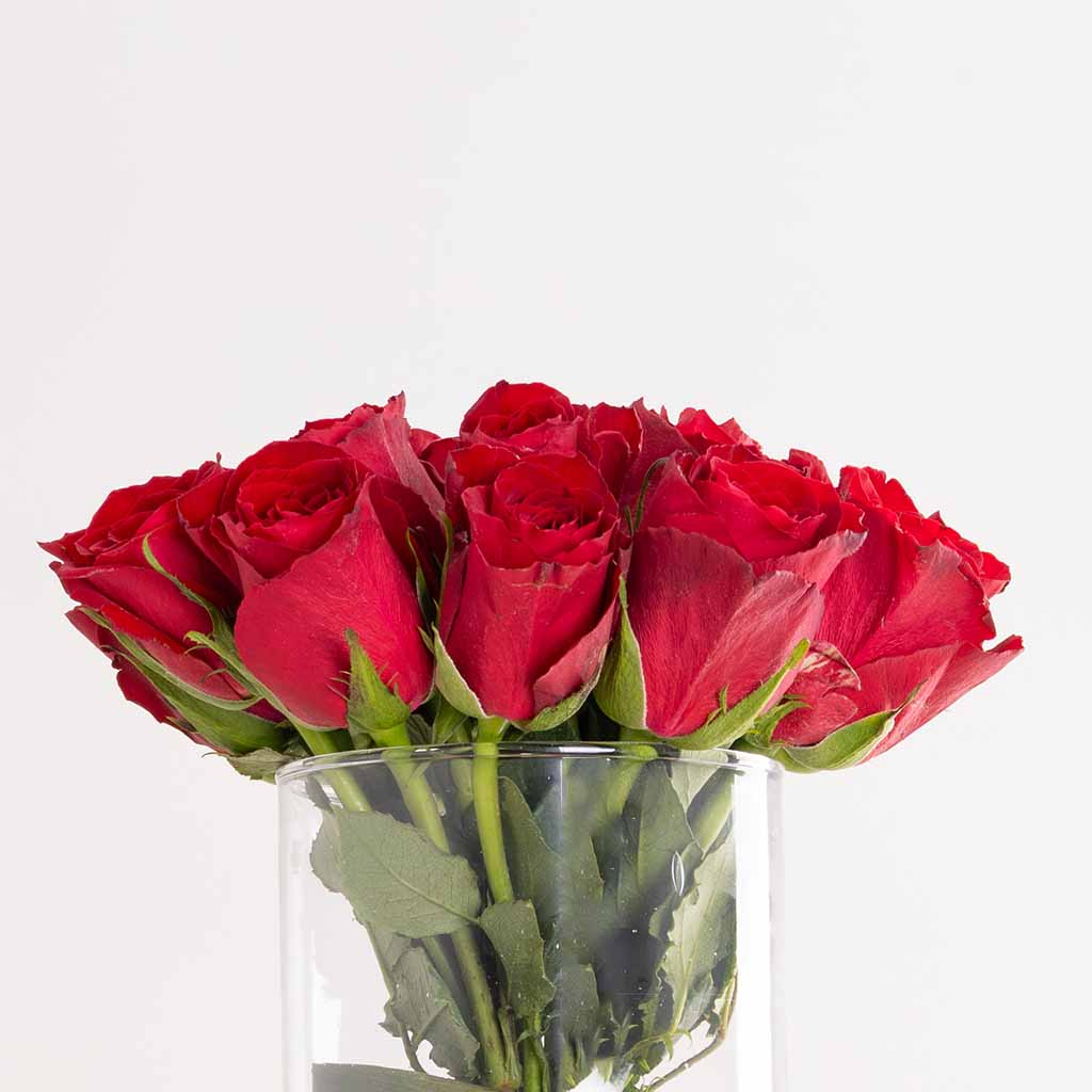 product-image-مزهرية روج نوار