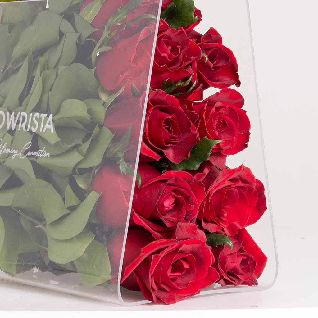 product-image-حقيبة حمراء