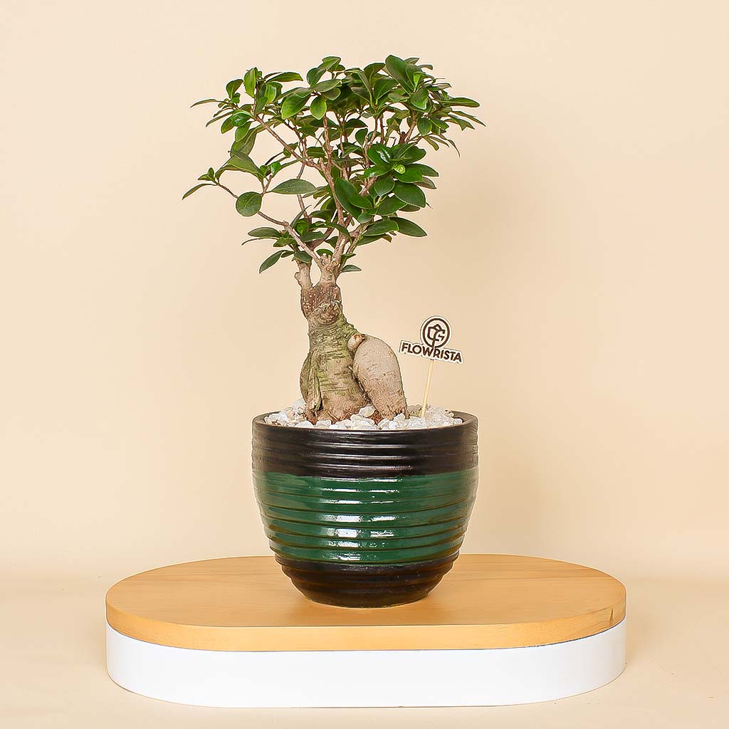 Flowrista Online Flowers Shop Natural Touches Vase