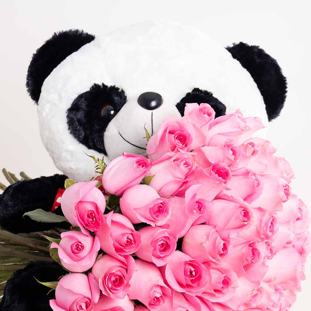 product-image-Panda Revival Love