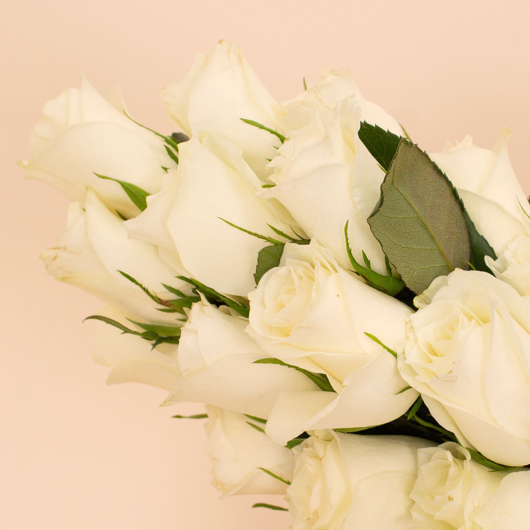 product-image-Flowrista Graduation Box - White Rose