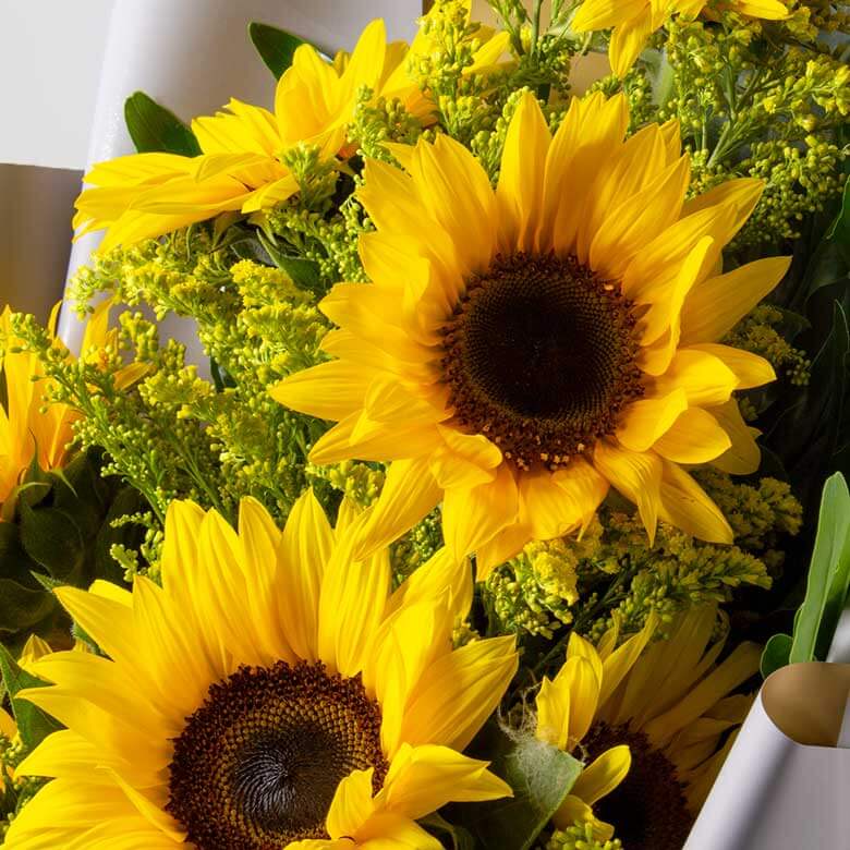 product-image-Beautiful Day