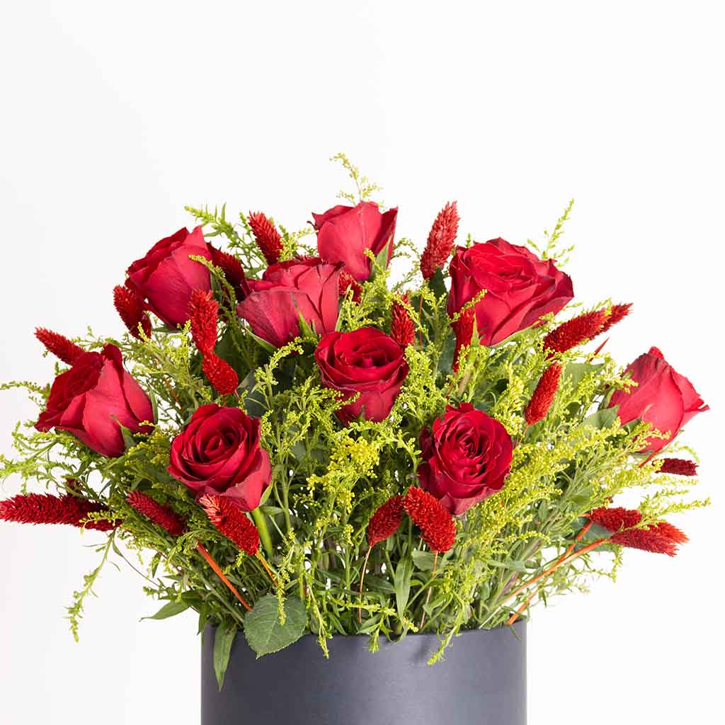 product-image-صندوق ريد بوتانيكا