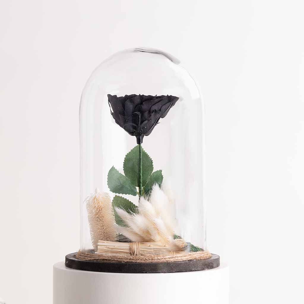 Flowrista Online Flowers Shop وردة الخلود سوداء