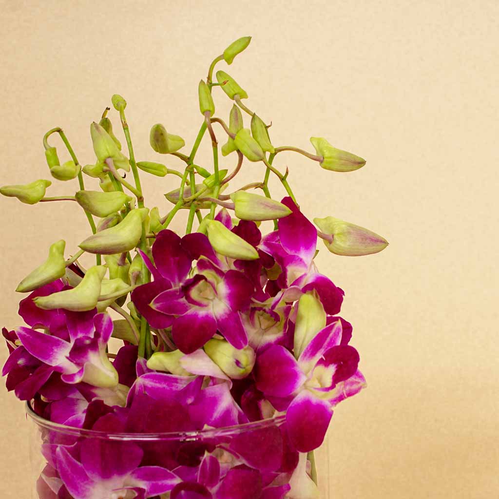 product-image-Baby Orchid Flower Vase - 10 Roses