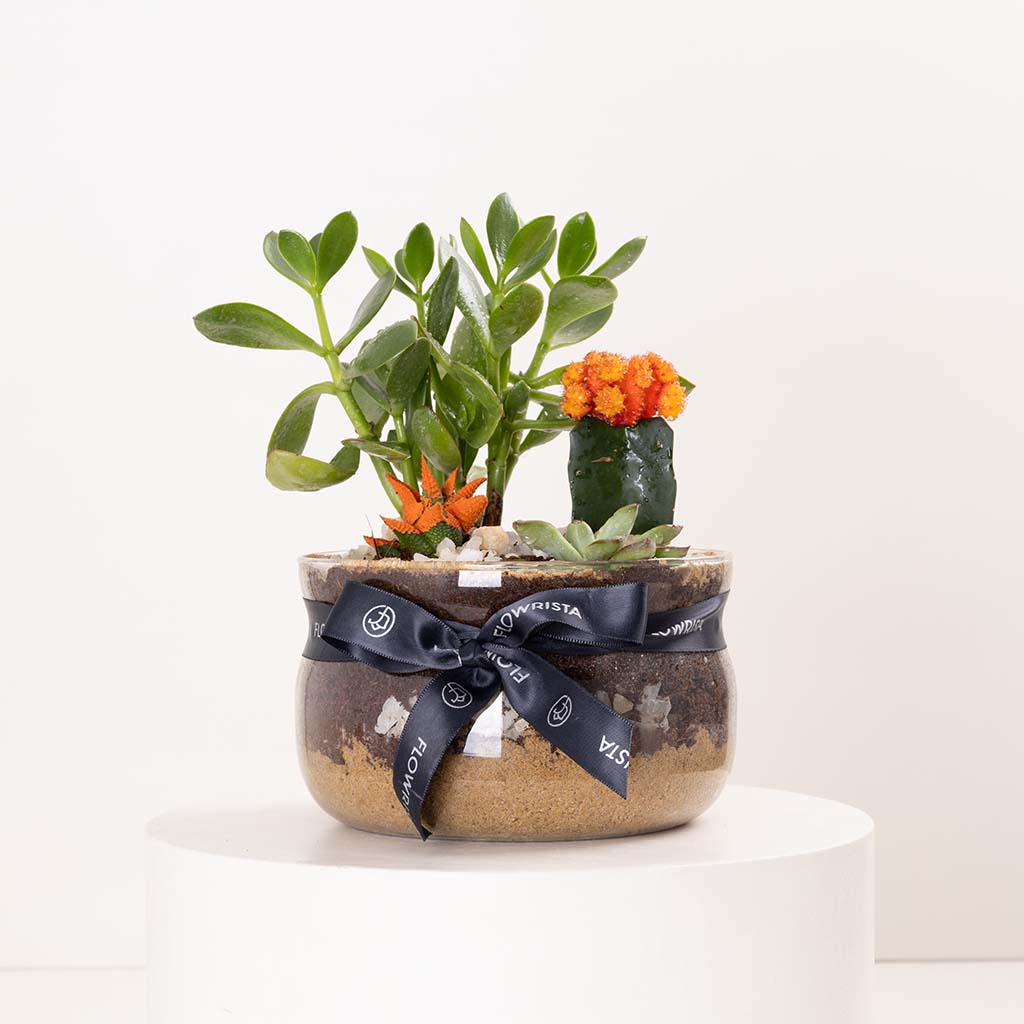 Flowrista Online Flowers Shop فازة واحة الصحراء