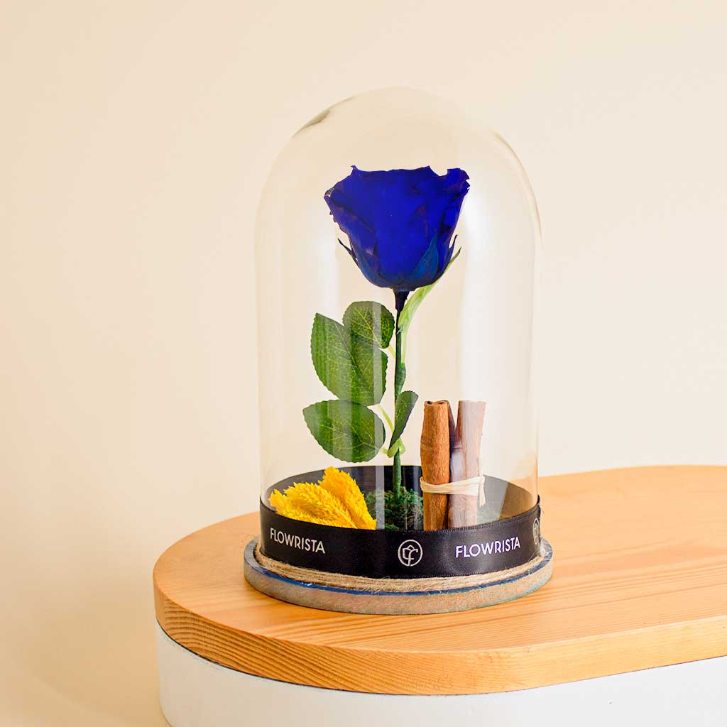 Flowrista Online Flowers Shop Blue Eternity Rose  