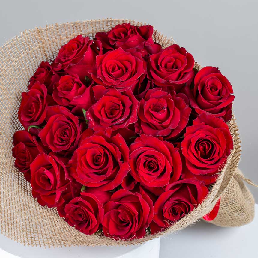 product-image-Wonderful in Red