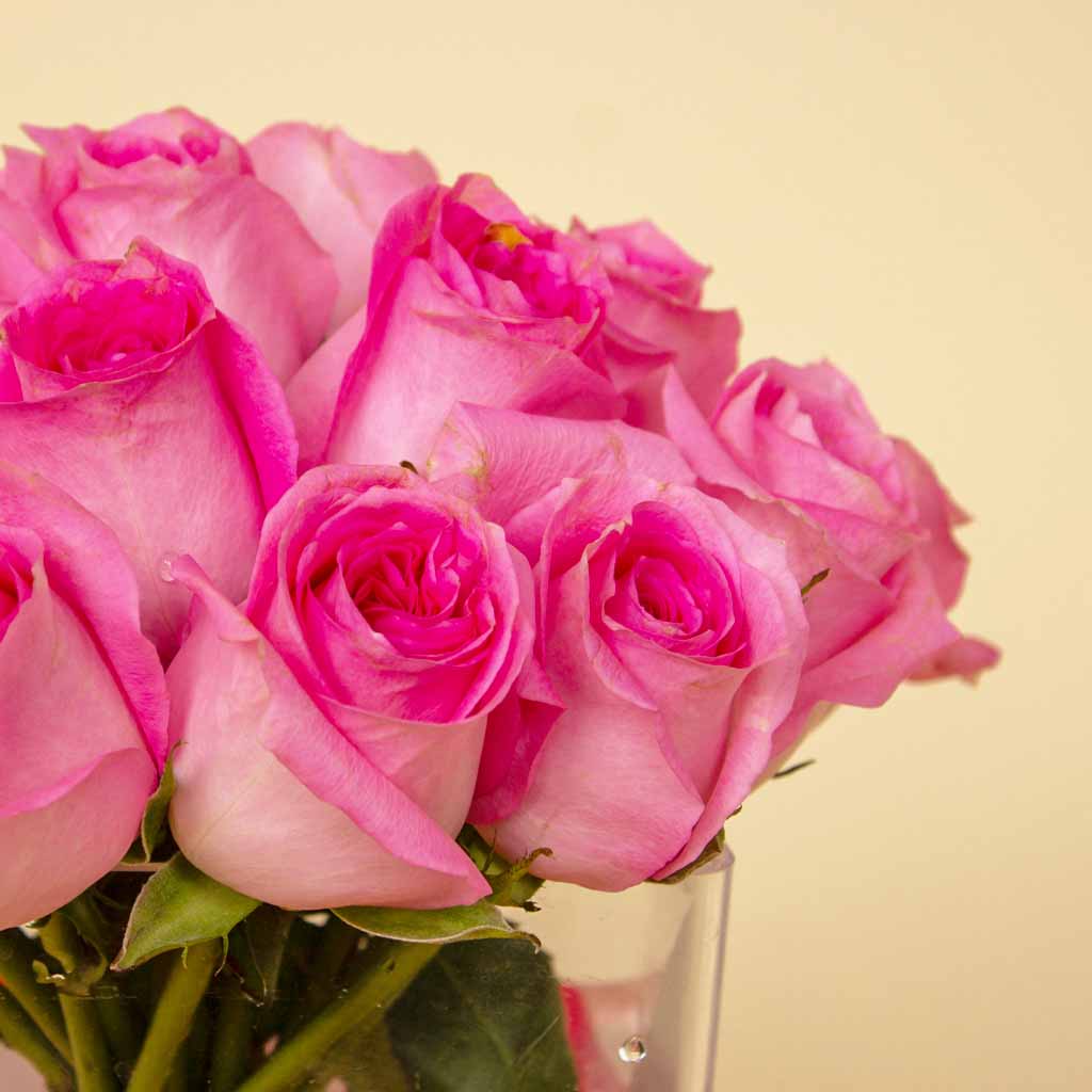 product-image-Cube Vase with 20 Pink Roses
