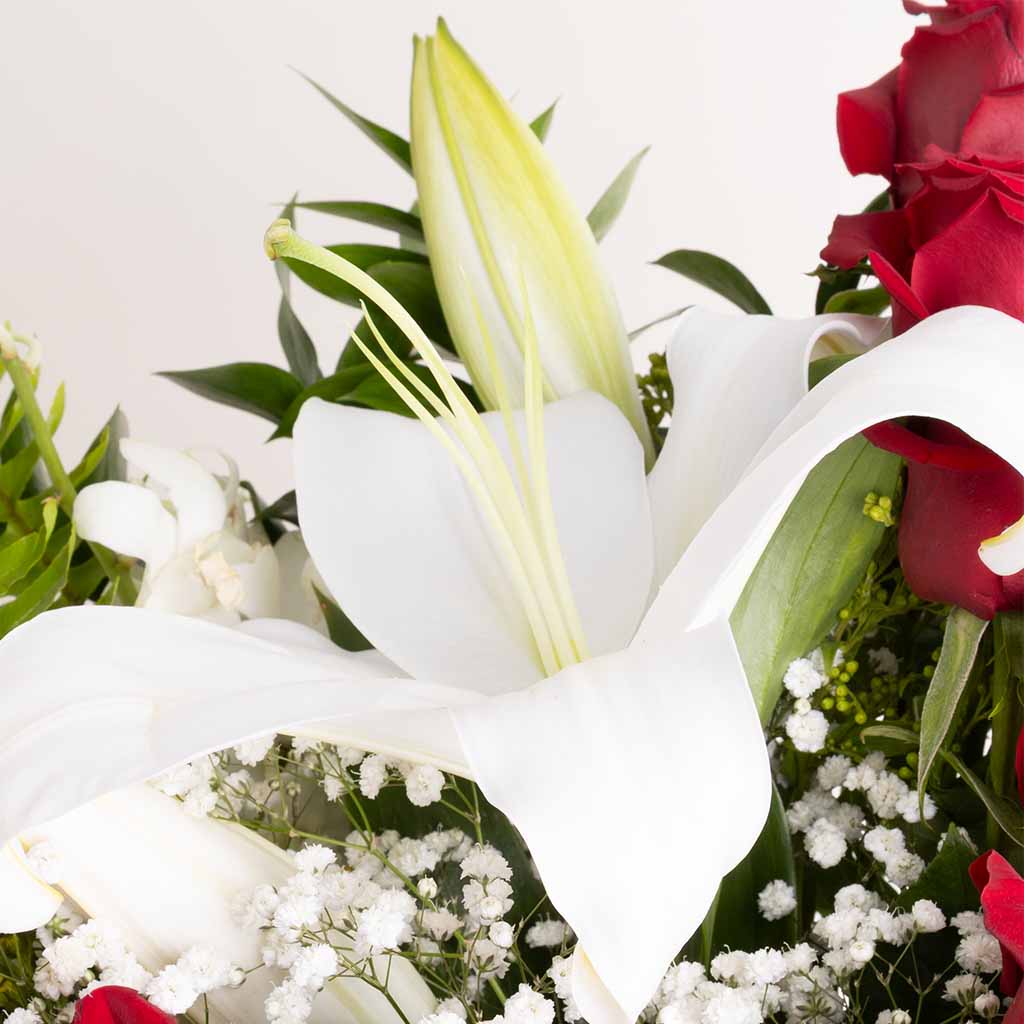 product-image-Crimson Calla Box